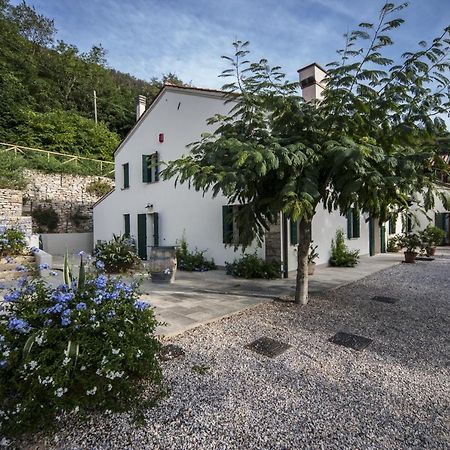 Agriturismo Le Volpi Baone Екстер'єр фото