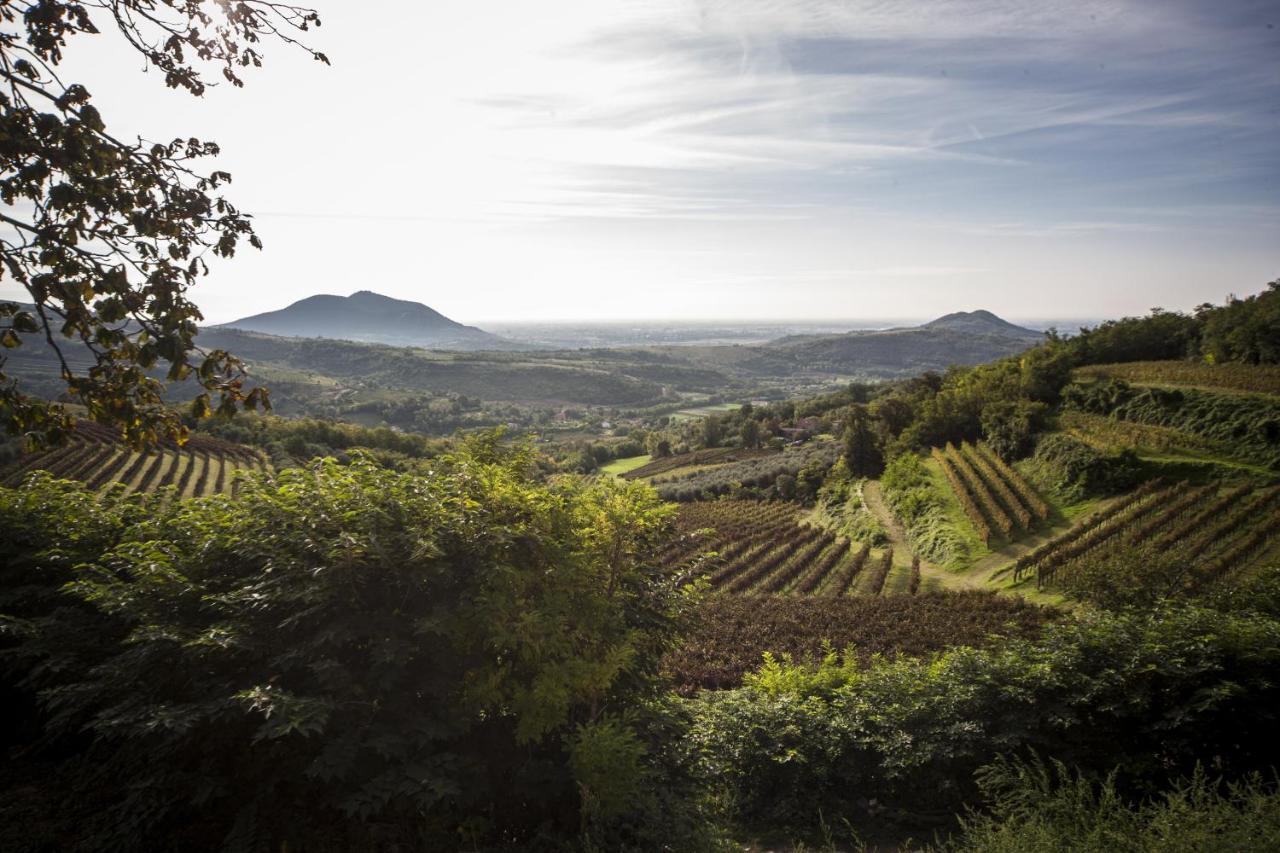 Agriturismo Le Volpi Baone Екстер'єр фото